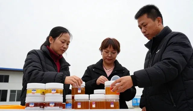 食材供应服务如何应对订单异常的业务发展趋势